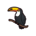 Toucan