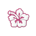 Pink and white Flower